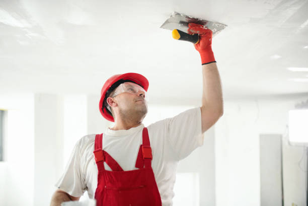 Best Air Quality Testing for Mold Spores  in Upper Lake, CA